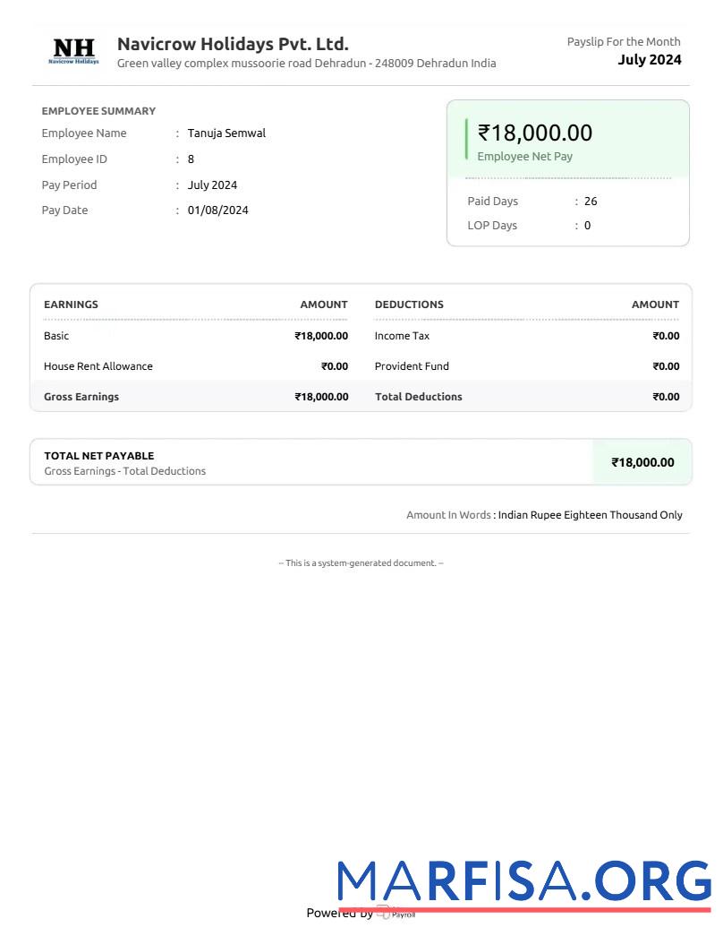 Printable Navicrow Holidays Pvt. Ltd. earnings summary example